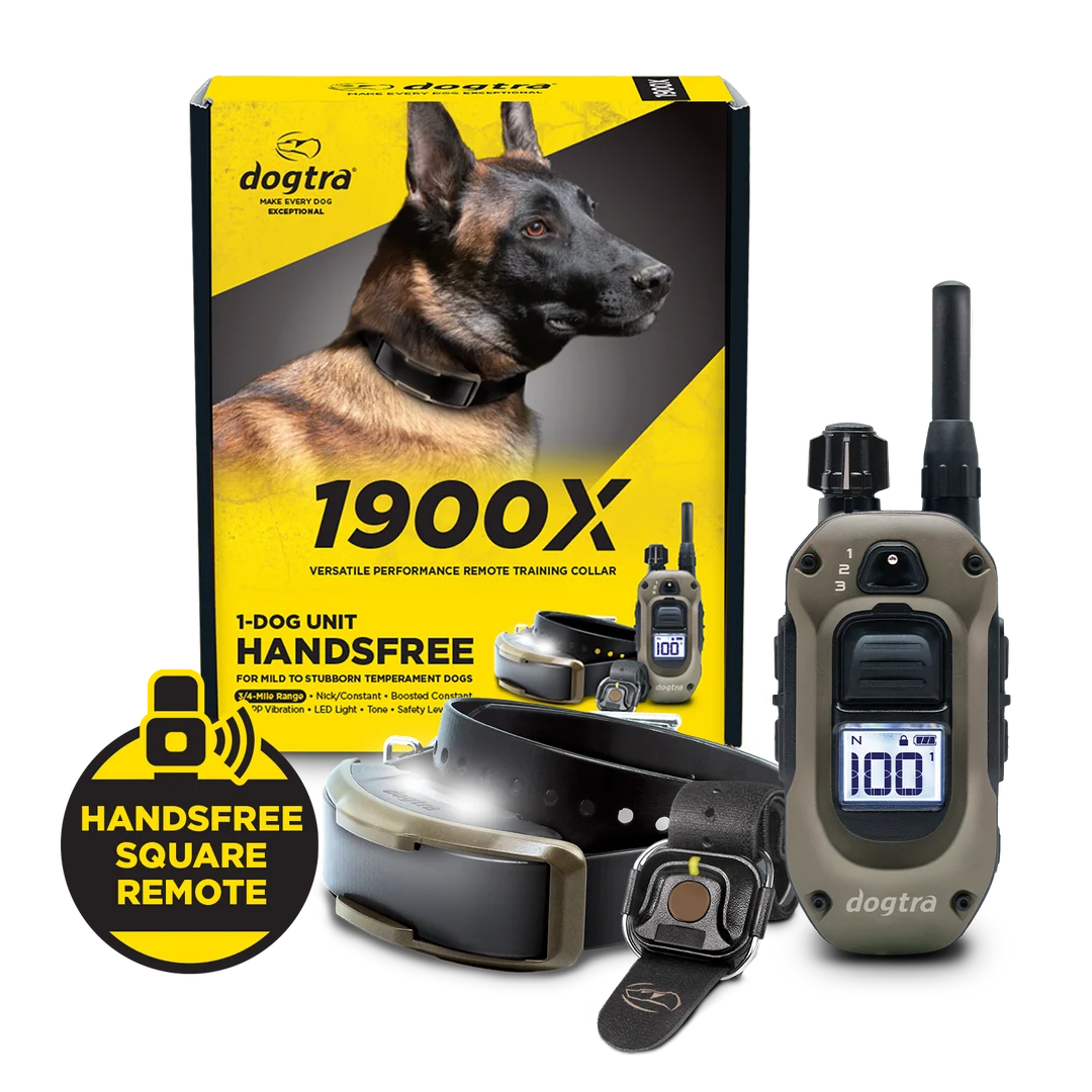 1900x-collection_handsfree The Best E-Collar