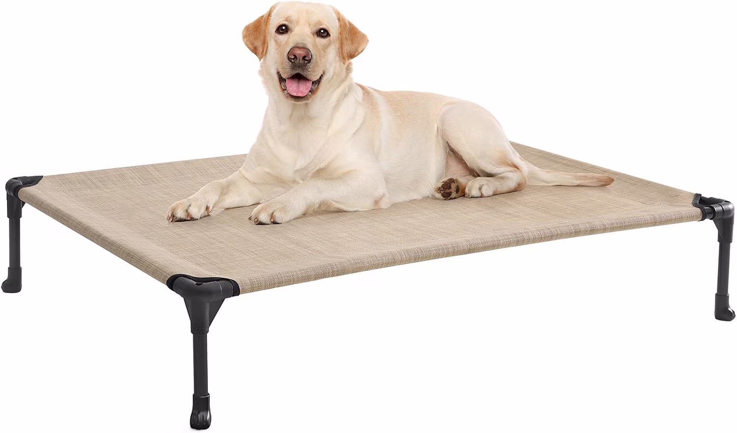 DOg bed Dog Bed